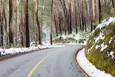 Empty road along trees in forest