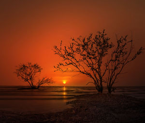 Silhouette tree by sea against romantic sky at sunset