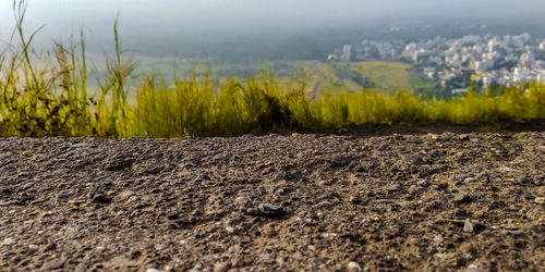 Surface level of agricultural field