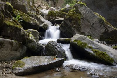 Scenic view of waterfall in forest