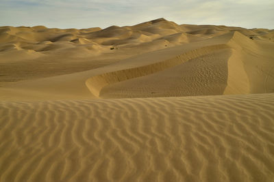 Patterns in desert sand dunes