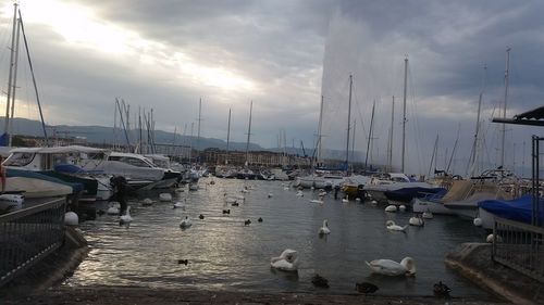 Boats moored at harbor