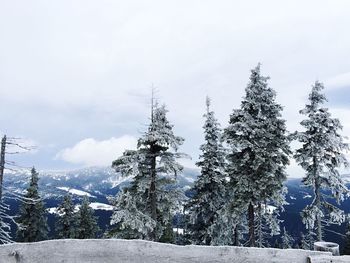 Scenic view of landscape against cloudy sky