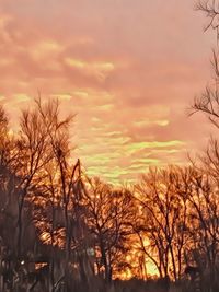 Trees against sky during sunset