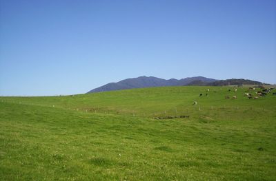 Countryside landscape against clear blue sky