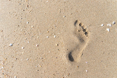 High angle view of footprints on sand at beach