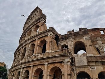 The colosseum