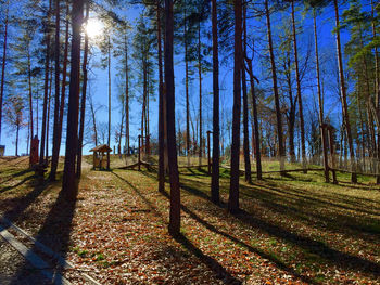 Trees growing on field against sky