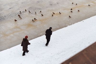 Rear view of men walking on sand