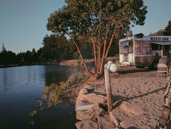 Tree by water against sky