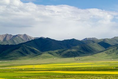 Scenic view of field against cloudy sky