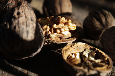 Close-up of food