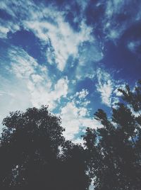 Low angle view of silhouette trees against sky