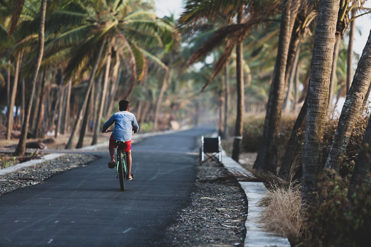 rear view, tree, transportation, sport, one person, real people, riding, lifestyles, bicycle, ride, men, plant, leisure activity, land vehicle, road, activity, the way forward, full length, day, outdoors