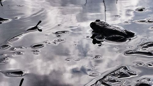 Full frame shot of water