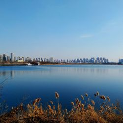 Scenic view of river by buildings against clear blue sky