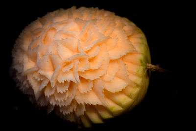 Close-up of flower over black background