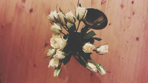 Close-up of flowers in vase