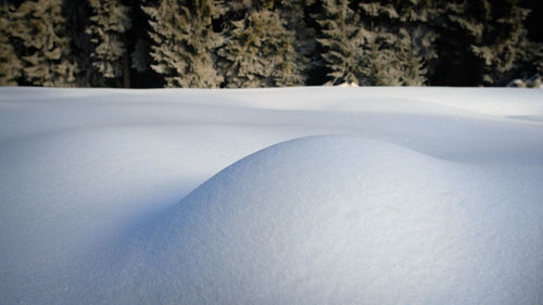 Close-up of snow covered land