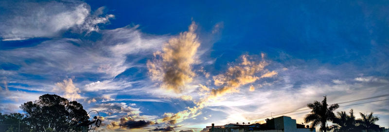 Low angle view of trees against sky