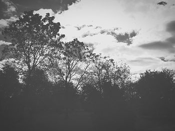 Low angle view of trees against sky