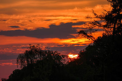 Low angle view of silhouette trees against orange sky