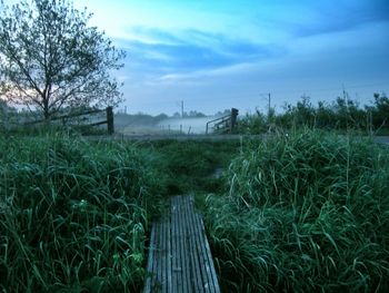 View of grassy field against cloudy sky