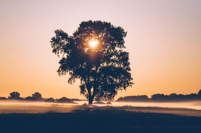 Silhouette tree against sky during sunset