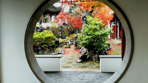 Trees seen through window during autumn