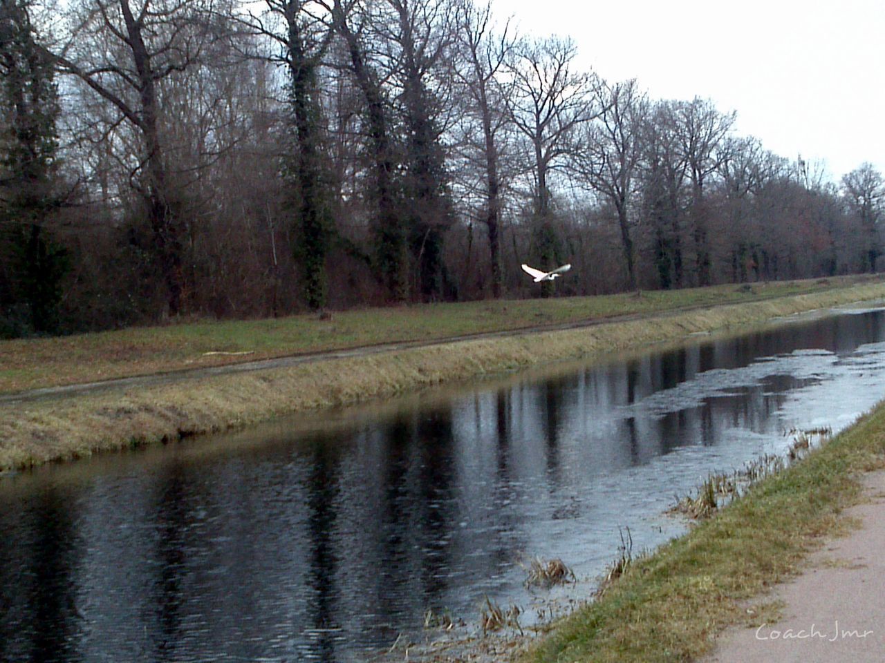 VIEW OF SWAN FLYING OVER LAKE