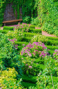 View of flowering plants in garden