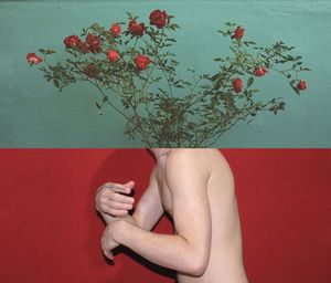 Midsection of woman holding red flowers against wall
