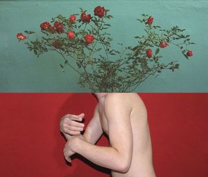 Image montage of shirtless man and flowering plants against wall