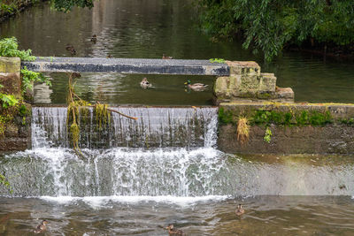 Water flowing over lake against trees