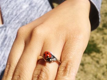 Close-up of a hand holding ladybug