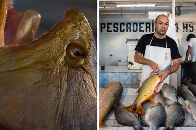 Full length of man holding fish at market