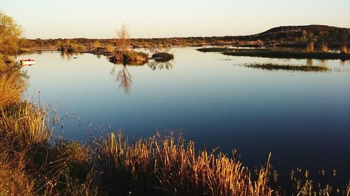 Reflection of trees in calm lake