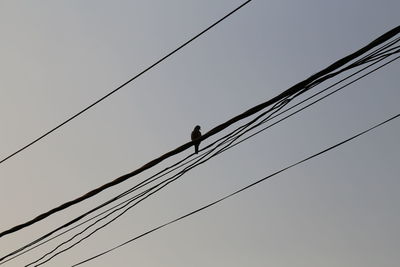 Low angle view of power lines against clear sky