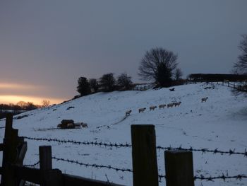 Scenic view of snow field against clear sky during sunset