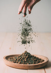 Close-up of hand holding small potted plant on table