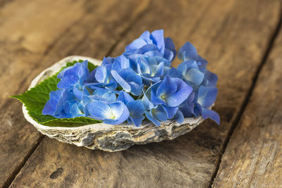 High angle view of purple blue flower on table