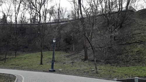 View of bare trees by road