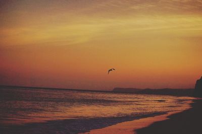 Scenic view of sea against clear sky during sunset