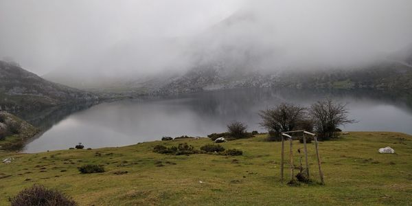 Scenic view of landscape against sky