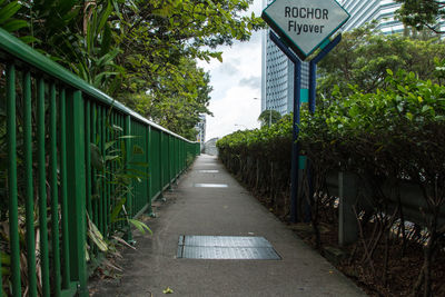 Footpath amidst trees by plants