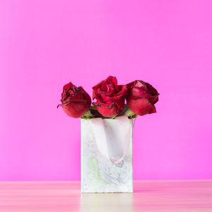 Close-up of pink rose flower vase on table