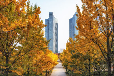 Trees by buildings against clear sky during autumn
