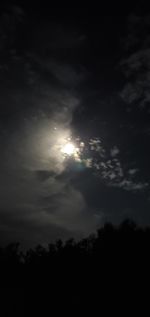 Low angle view of silhouette tree against sky at night