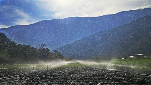 Agricultural sprinkler spraying water on field