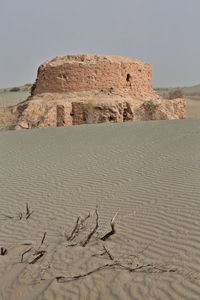 View of birds on rock